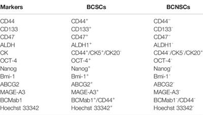 The Origin and Evolution of Bladder Cancer Stem Cells